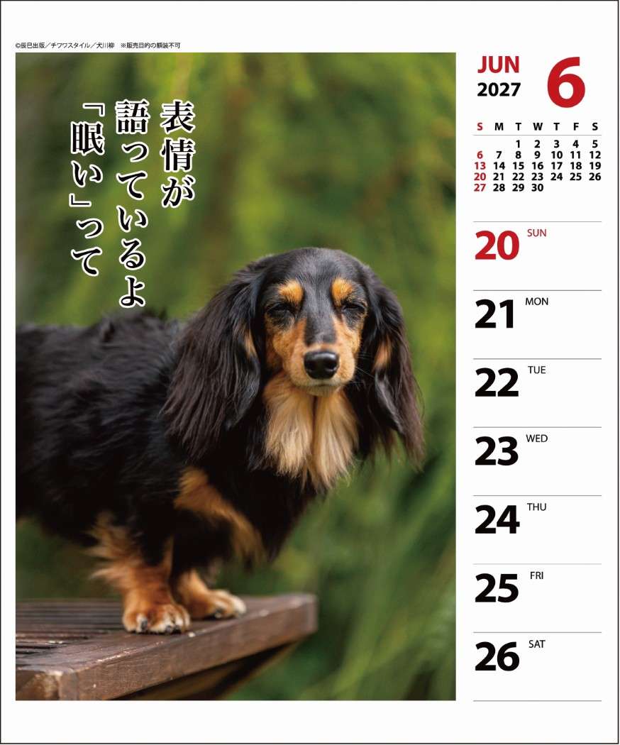 2027Calendar 卓上カレンダー202...の詳細画像4