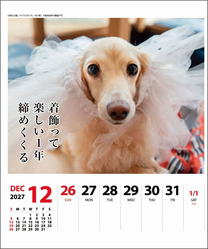 2027Calendar 卓上カレンダー202...の詳細画像5