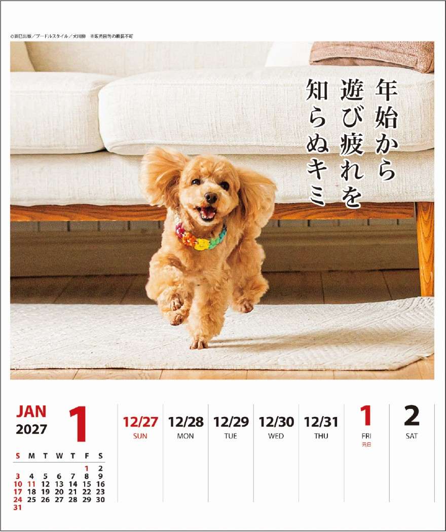 2027Calendar 卓上カレンダー202...の詳細画像1