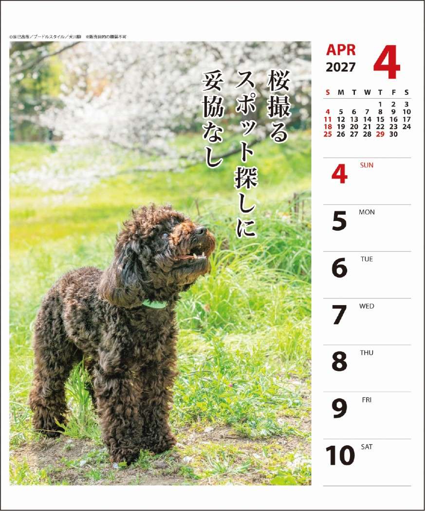 2027Calendar 卓上カレンダー202...の詳細画像2