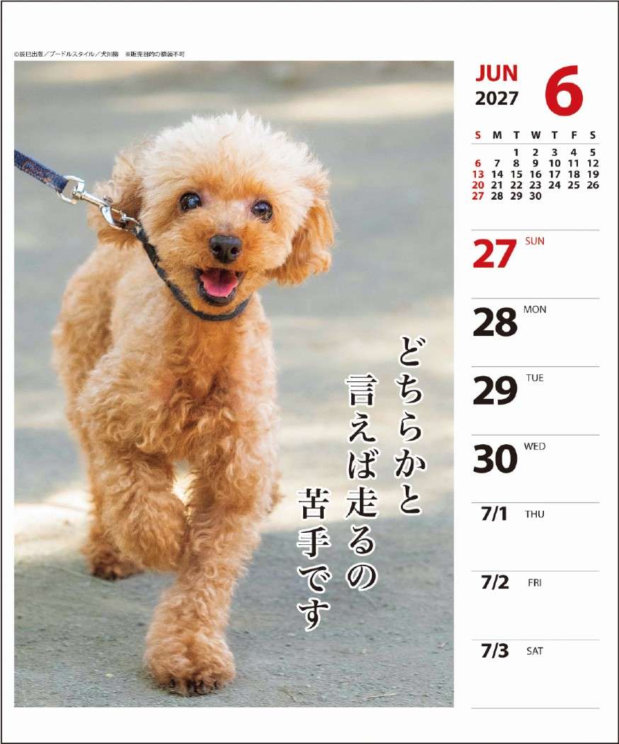 2027Calendar 卓上カレンダー202...の詳細画像3
