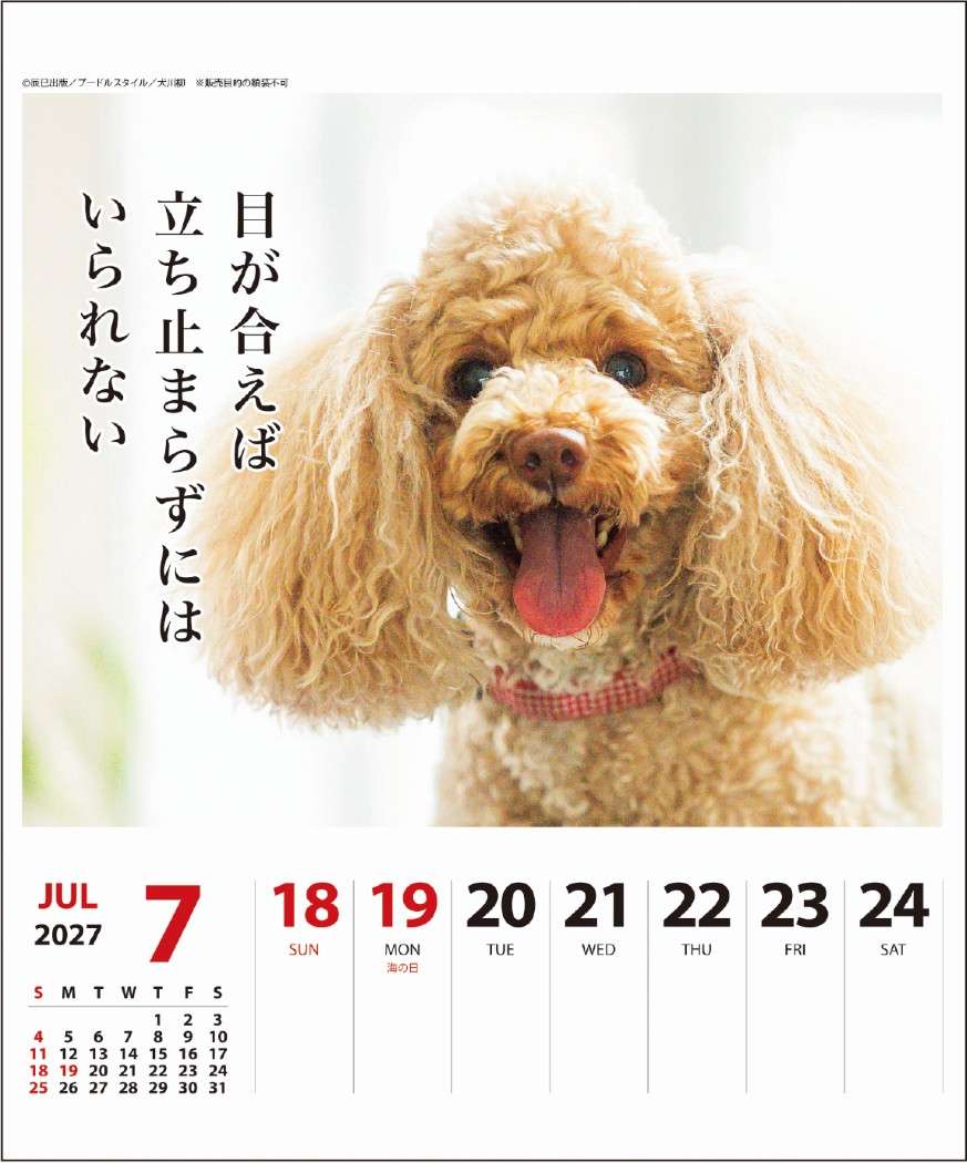 2027Calendar 卓上カレンダー202...の詳細画像4