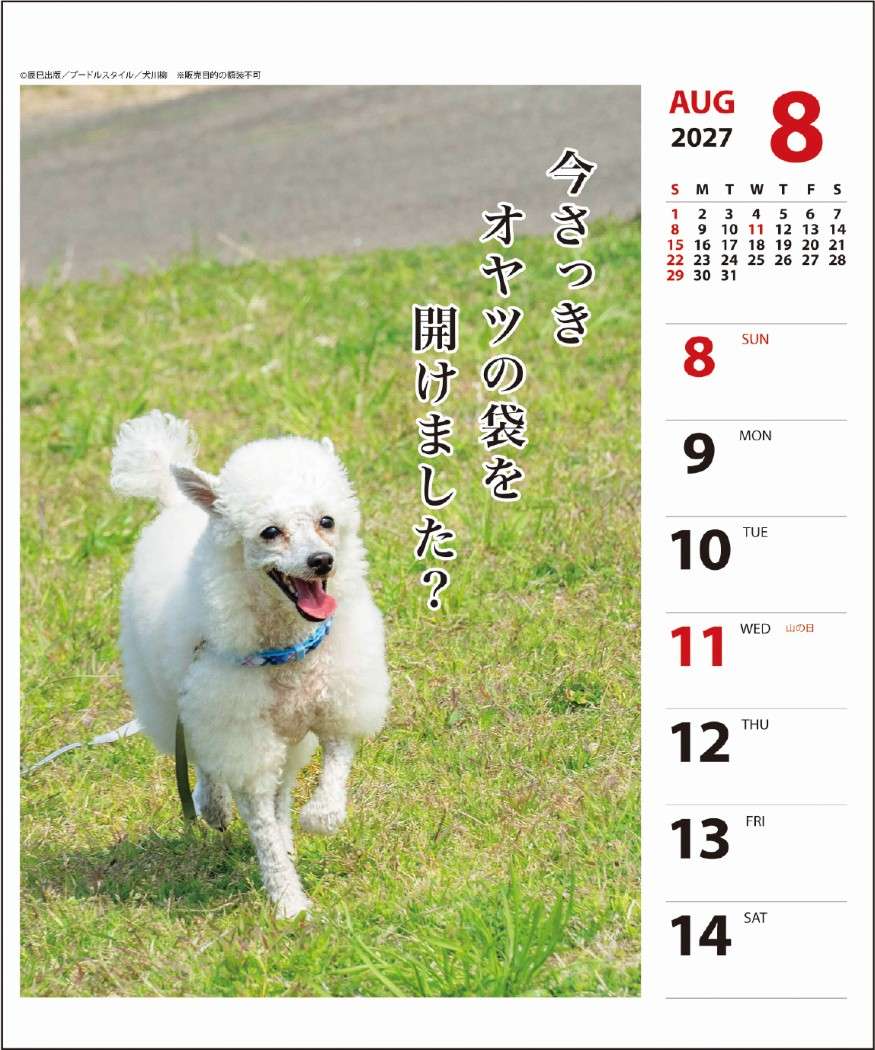 2027Calendar 卓上カレンダー202...の詳細画像5