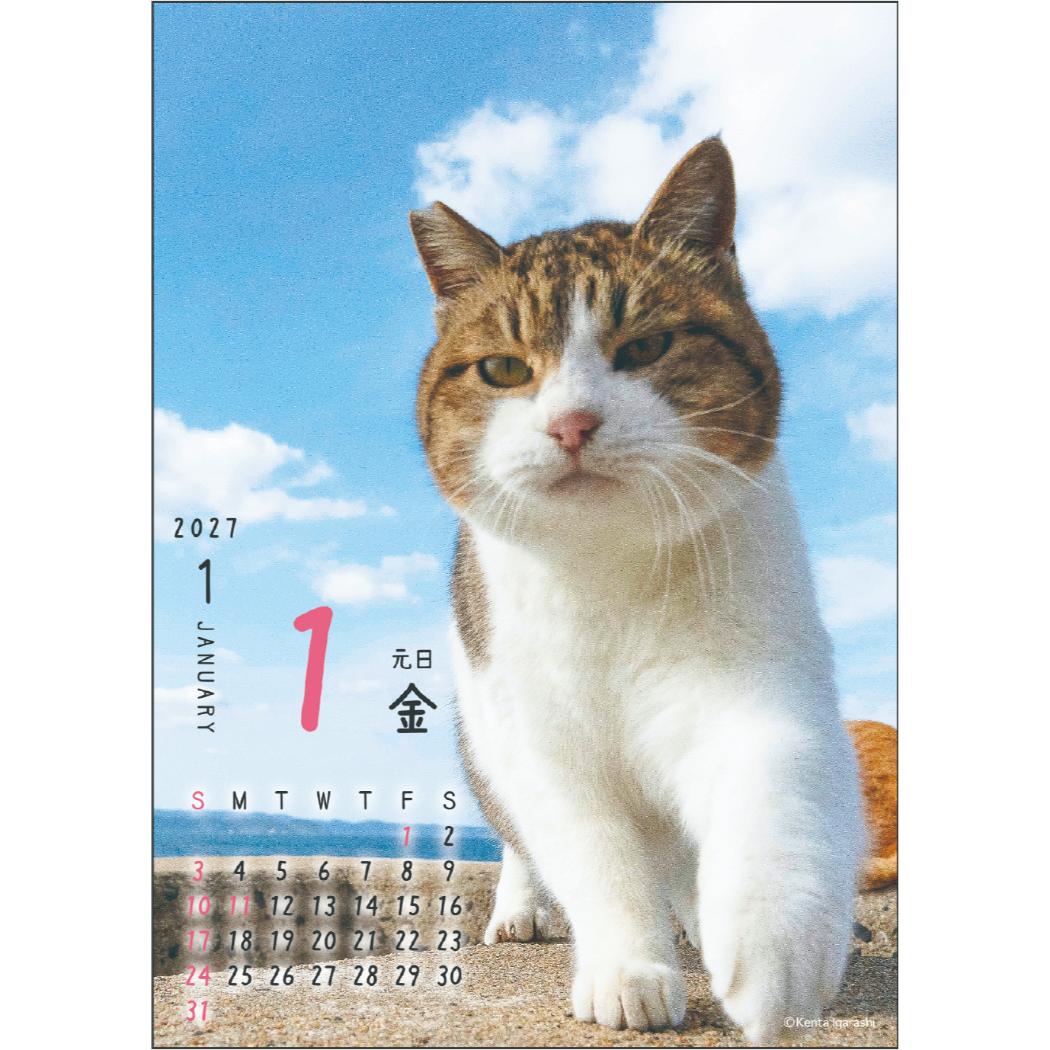 予約】 2027Calendar 卓上カレンダー2027年 ニャン！！めくり 日めくり