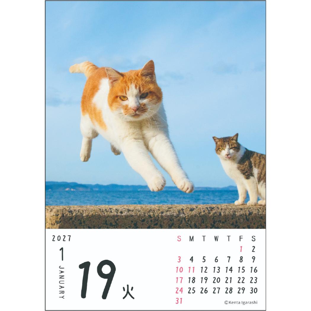 予約】 2027Calendar 卓上カレンダー2027年 ニャン！！めくり 日めくり