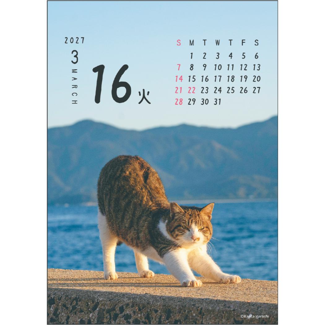 予約】 2027Calendar 卓上カレンダー2027年 ニャン！！めくり 日めくり