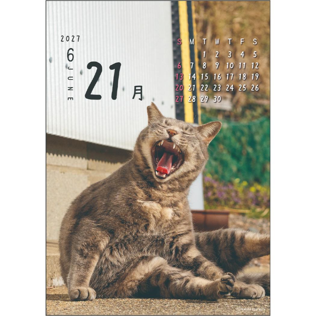 予約】 2027Calendar 卓上カレンダー2027年 ニャン！！めくり 日めくり