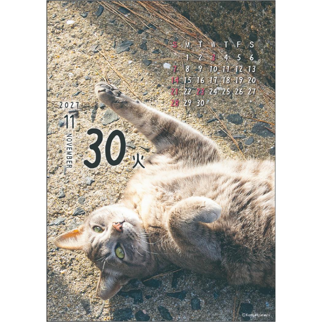 予約】 2027Calendar 卓上カレンダー2027年 ニャン！！めくり 日めくり