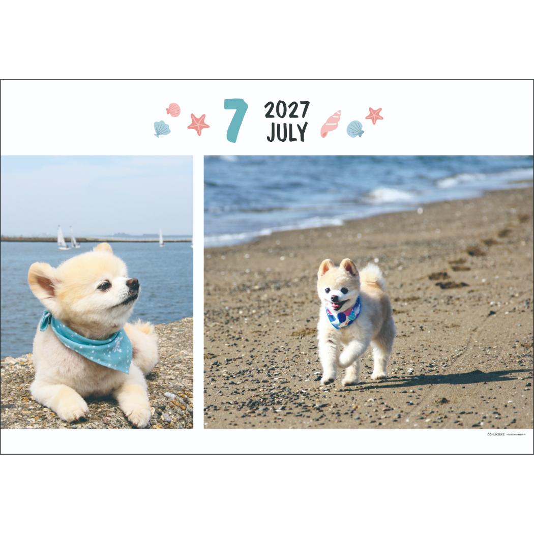 2027Calendar 壁掛けカレンダー20...の詳細画像2