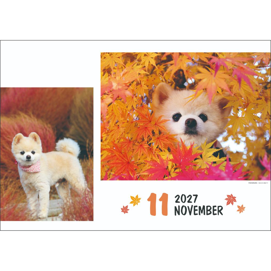 2027Calendar 壁掛けカレンダー20...の詳細画像3