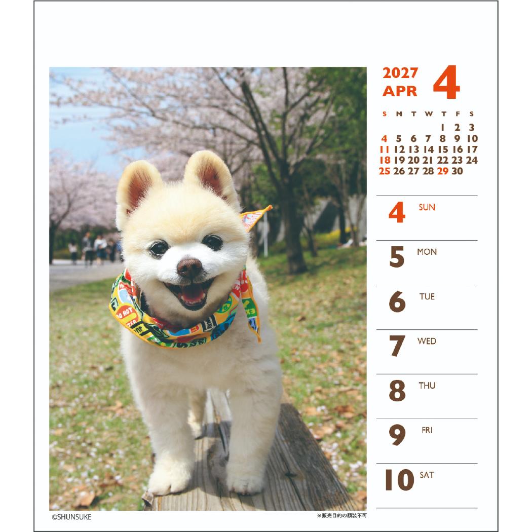 2027Calendar 卓上カレンダー202...の詳細画像2