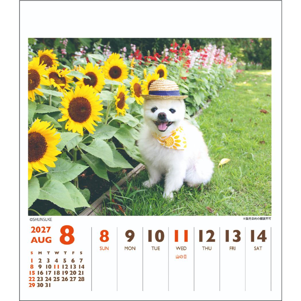 2027Calendar 卓上カレンダー202...の詳細画像3