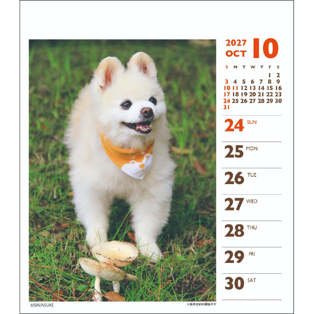 2027Calendar 卓上カレンダー202...の詳細画像4