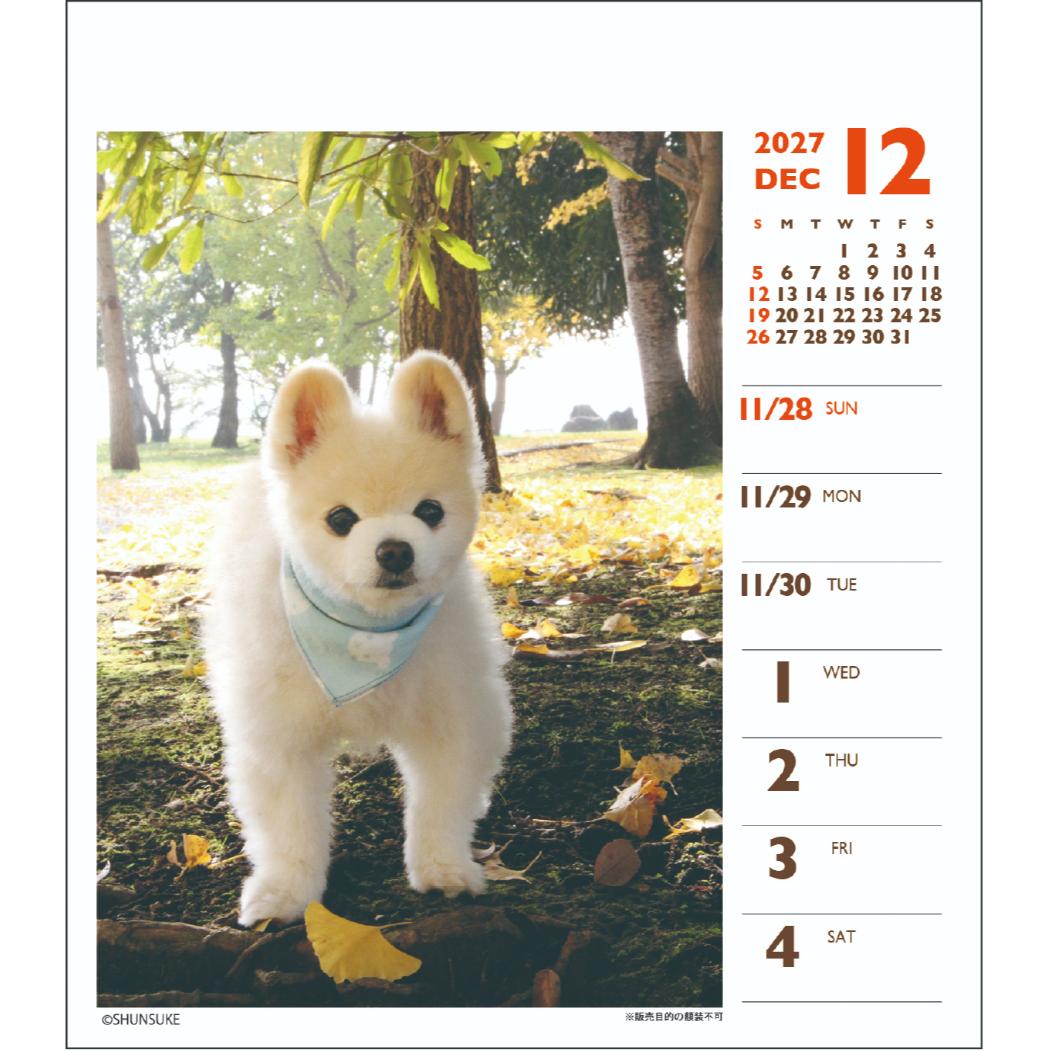 2027Calendar 卓上カレンダー202...の詳細画像5