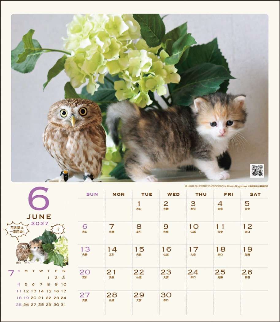 2027Calendar 壁掛けカレンダー2027年 HUKULOU COFFEE フクロウ