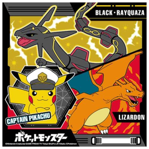 ポケットモンスター ポケモン キャラクター ランチクロス 大判ハンカチ ブラック バンビーナ