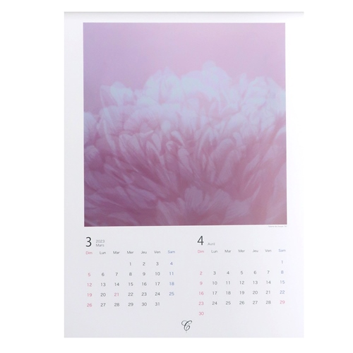 【美品】笠井 正博 光の森 08大型 壁掛けカレンダー2023年 2023Calendar 笠井正博 版画家