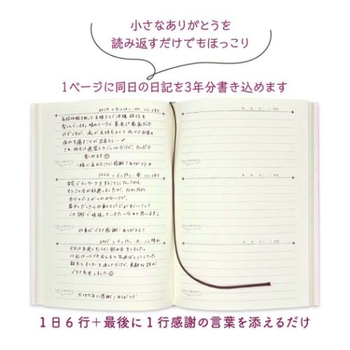 3年連用日記 みんなの文具 ダイアリー クローズピン うさぎ