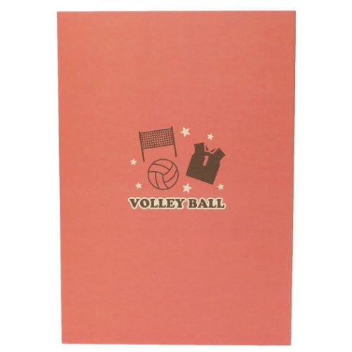 色紙 スポーツ色紙 バレーボール