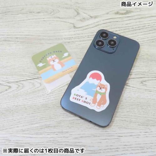 ダイカットシール ステッカー コータくんと檜風呂 ミントイン