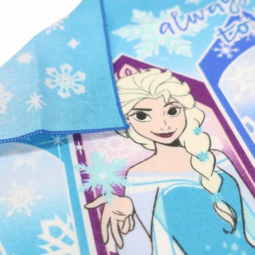 アナと雪の女王 ランチーフ ランチクロス ディズニー スケーター お弁当箱ナフキン