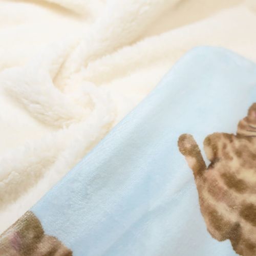 ブランケット デジプリブランケット モコトラ フレンズヒル 防寒用品