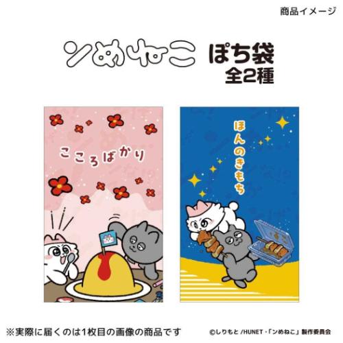 ポチ袋 ンめねこ ぽち袋 2枚入り ほんのきもち お年玉 お盆玉