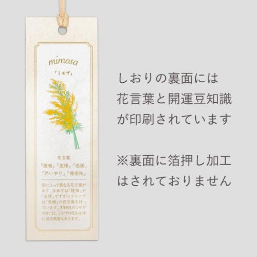ブックマーク ROKKAKU Hakuoshi Botanical しおり 2枚入り ミモザ フタバ 箔押し ボタニカル