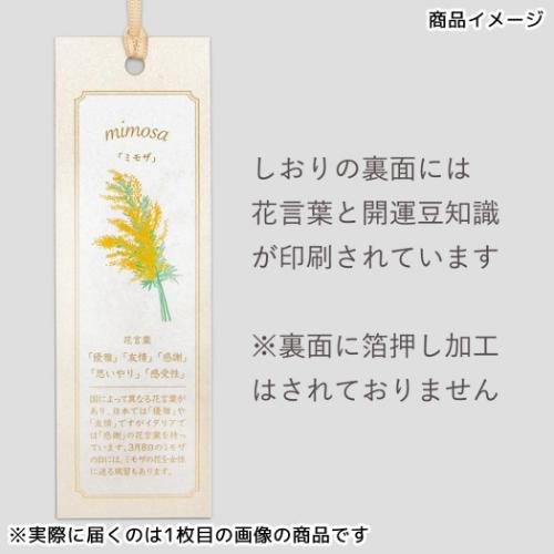 ブックマーク ROKKAKU Hakuoshi Botanical しおり 2枚入り ウンベラータ フタバ 箔押し ボタニカル