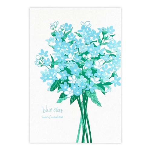 POSTCARD Hakuoshi Botanical ポストカード 1枚入り ブルースター