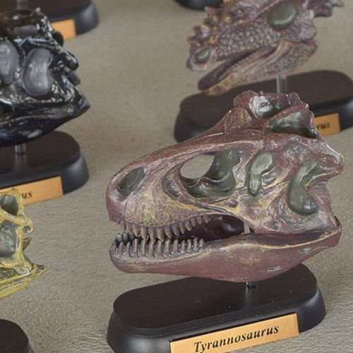 ダイナソースカル ミニモデルセット(10体セット) スカルミニモデル 10体セット フィギュア 恐竜 ダイナソー