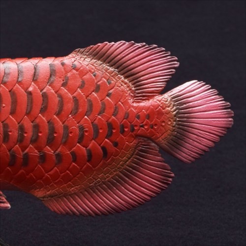 アジアアロワナ フィギュア ソフトモデルフィギュア 紅龍 古代魚