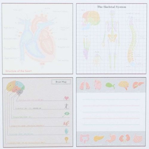 メモ帳 STUDY HOLIC スクエアメモパッド 人類生物学 新学期準備文具 プレゼント 男の子 女の子 ギフト バレンタイン 爆買 関連画像2