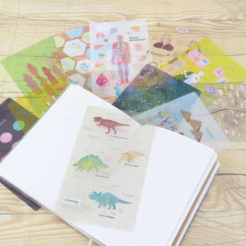 クリアブックマーク STUDY HOLIC しおり Green Flash 古生物学 グッズ