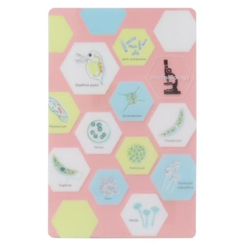 しおり STUDY HOLIC クリアブックマーク 微生物学 Green Flash 読書 文庫本