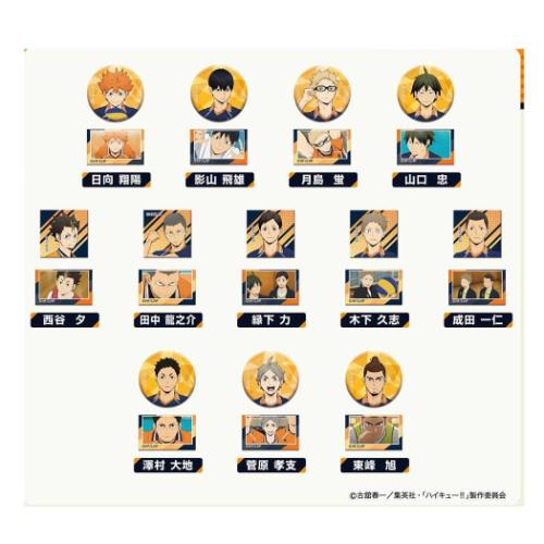 あれこれぷちCAN vol2 全24種 48個入セット 缶バッジ 烏野高校