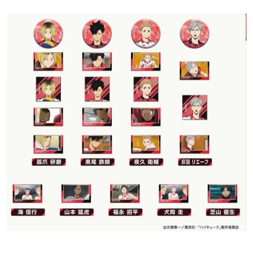 ハイキュー あれこれぷちCAN vol2 全24種 48個入セット 缶バッジ 音駒