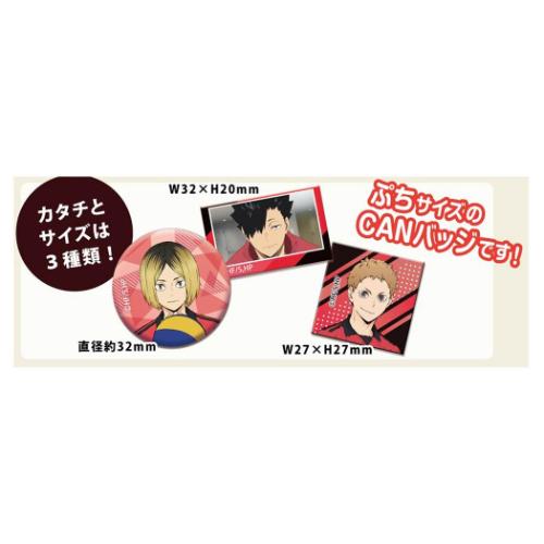 ハイキュー あれこれぷちCAN vol2 全24種 48個入セット 缶バッジ 音駒