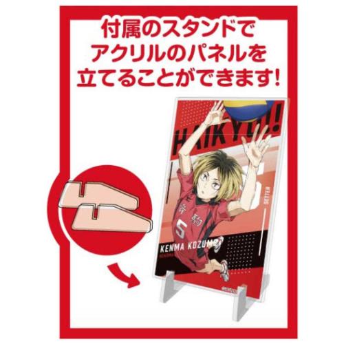 劇場版ハイキュー！！ ゴミ捨て場の決戦 アートパネルコレクション Vol