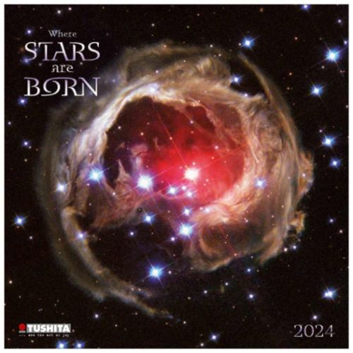 壁掛けカレンダー2024年 TUSHITA 2024 Calendar Where Stars are Born
