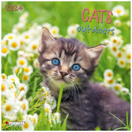 2024 Calendar TUSHITA 壁掛けカレンダー2024年 Cats Outdoors ねこ
