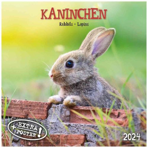 2024 Calendar artwork STUDIOS 壁掛けカレンダー2024年 うさぎ Rabbits/Kaninchen 写真 動物