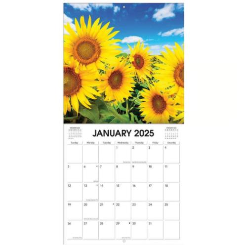 2025 Calendar TURNER 壁掛けカレンダー2025年 Sunflowers 写真 ひまわり ht20258940054