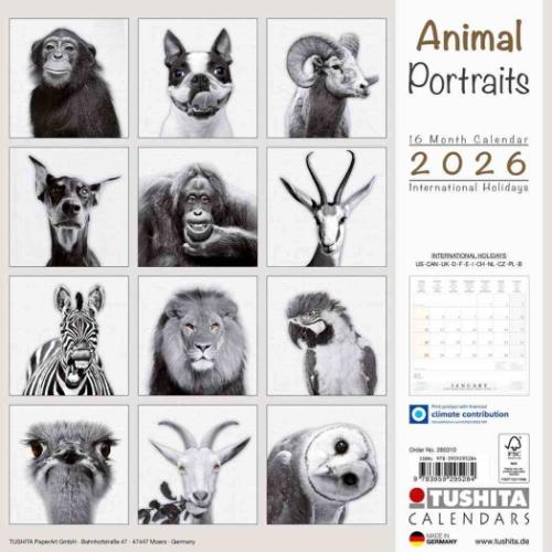 50％OFF】2026 Calendar TUSHITA 壁掛けカレンダー2026年 アニマル