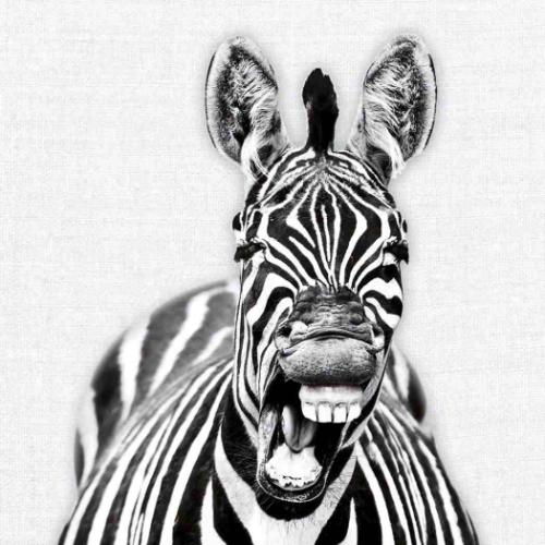 2026 Calendar 壁掛けカレンダー2026年 TUSHITA Animal Portraits ハートアートコレクション アニマル アート 動物