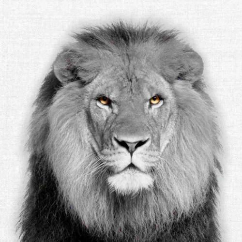 2026 Calendar 壁掛けカレンダー2026年 TUSHITA Animal Portraits ハートアートコレクション アニマル アート 動物