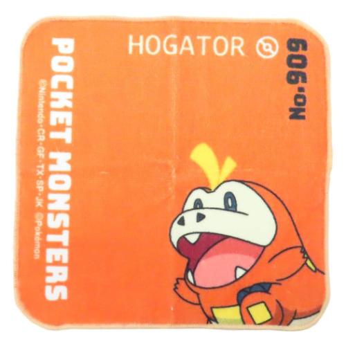 ポケットモンスター インクジェットプリントプチタオル ミニタオル ホゲータ ポケモン キャラクター