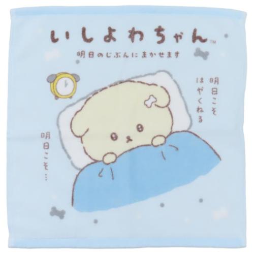 プリントウォッシュタオル ハンドタオル いしよわちゃん サンエックス 犬飼タオル