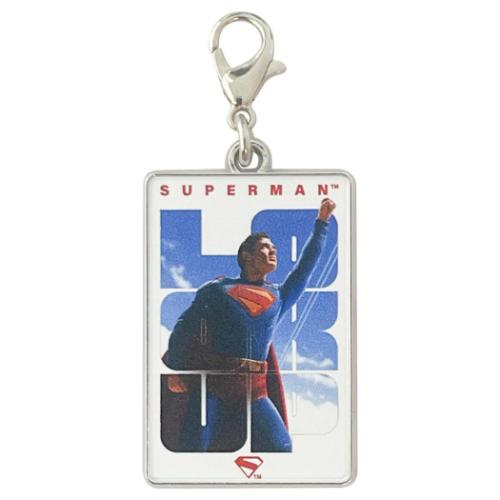 メタルチャームコレクション 全8種の内どれか1個 SUPERMAN