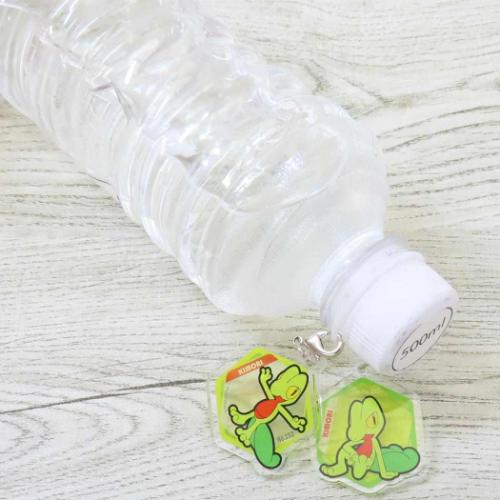 ポケットモンスター グッズ レイングッズ キャラクター アクリルマーカーチャームセット